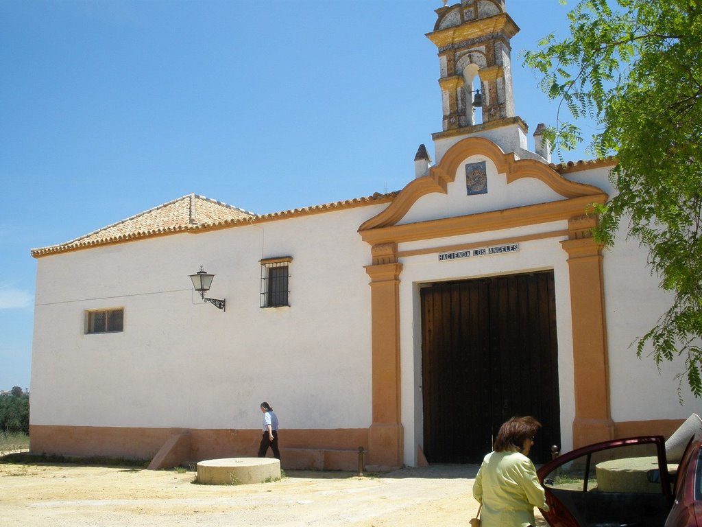 ALCALA DE GUADAIRA-HACIENDA DE LOS ANGELES by pedro fanegas