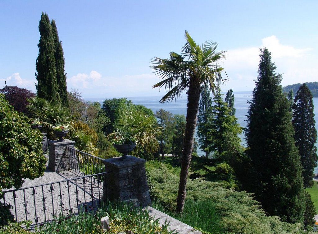 Mainau, at the side of Brunnenarena by Leni2008