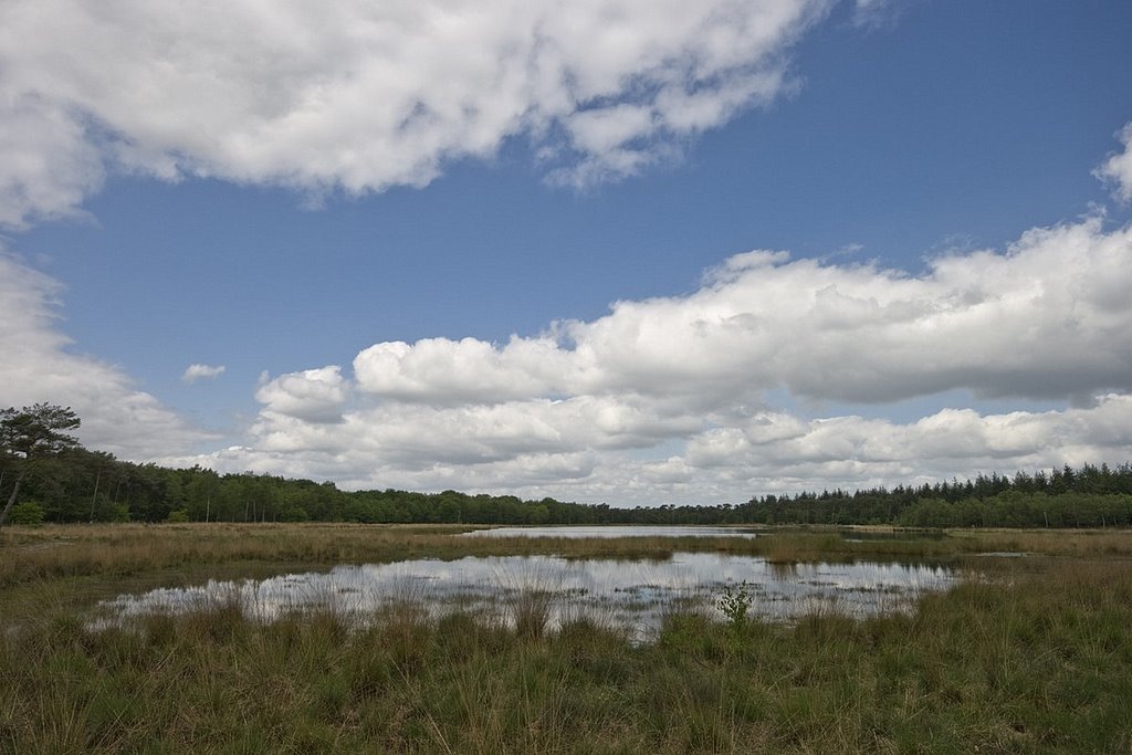 Buntven, Zandbosch, Deurne by Wim Janssen