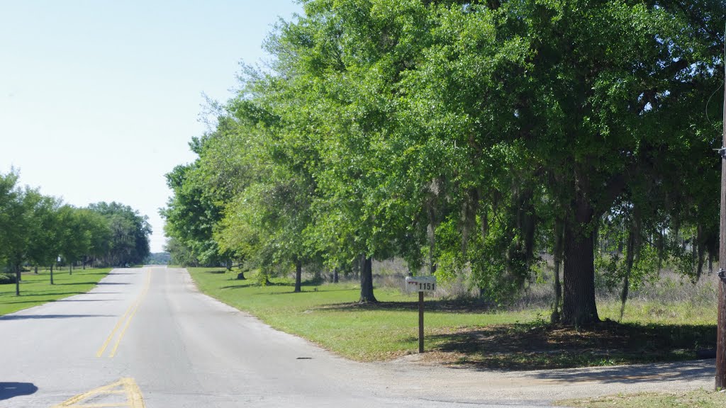 2014 Florida - Lake Wales - Bok Tower Blvd by Qwilleran