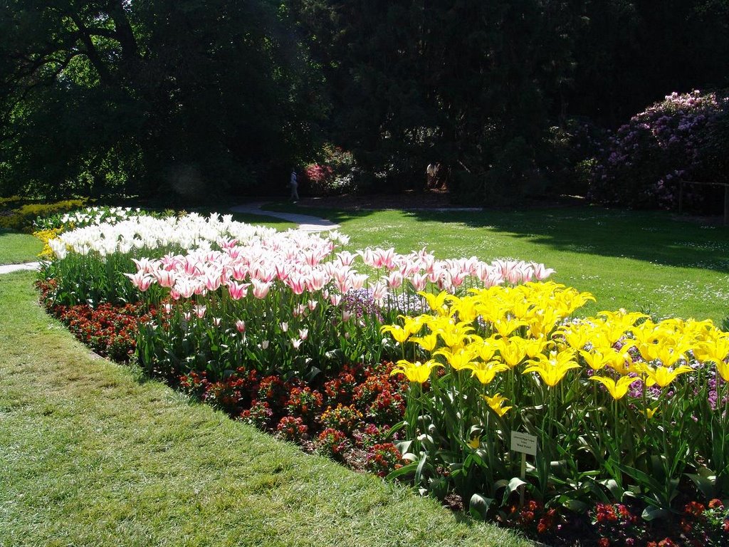 Mainau, Lakeshore route by Leni2008