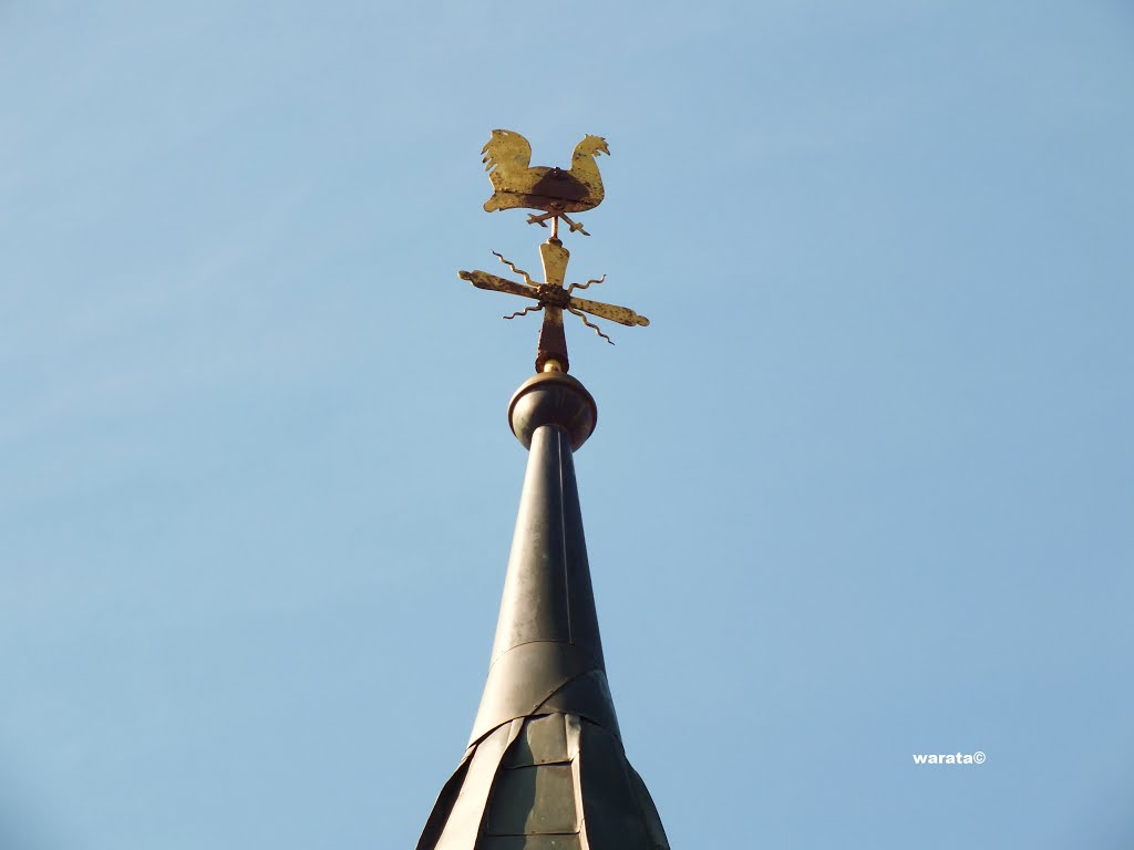 Starkenhofen (i) - Gemeinde Seibranz – Stadt Bad Wurzach in Oberschwaben > Kapelle by warata