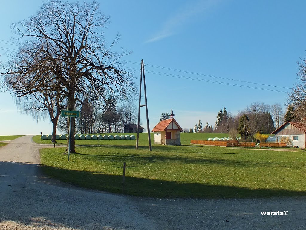 Starkenhofen (i) -Galgenhöfe - Gemeinde Seibranz – Stadt Bad Wurzach in Oberschwaben > Kapelle by warata