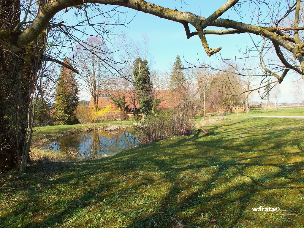 Starkenhofen (i) -Galgenhöfe - Gemeinde Seibranz – Stadt Bad Wurzach in Oberschwaben > Haus Nr. 13 by warata