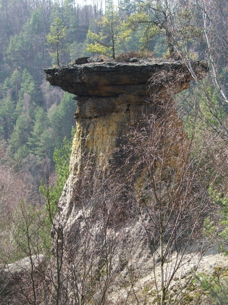 Mšenské pokličky by Petr Jan Juračka