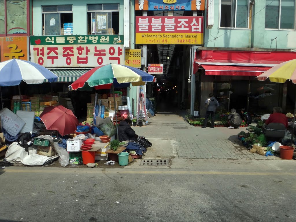 Gyeongju Seongdong-Market Gate 2 by sunmaya