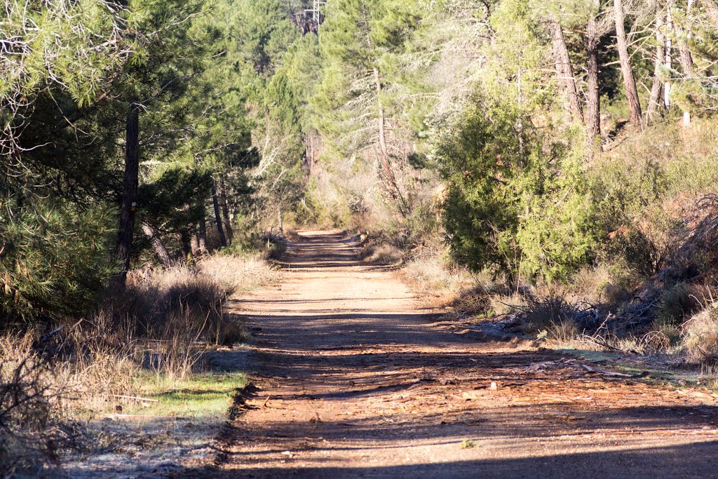 002 PR GU-03 Camino del Arcipreste by jcarlos_martin