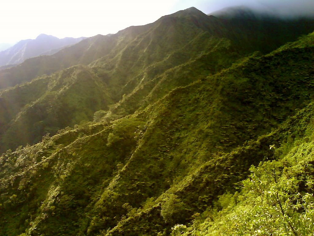 Palolo, Honolulu, HI, USA by Trevor Boesch