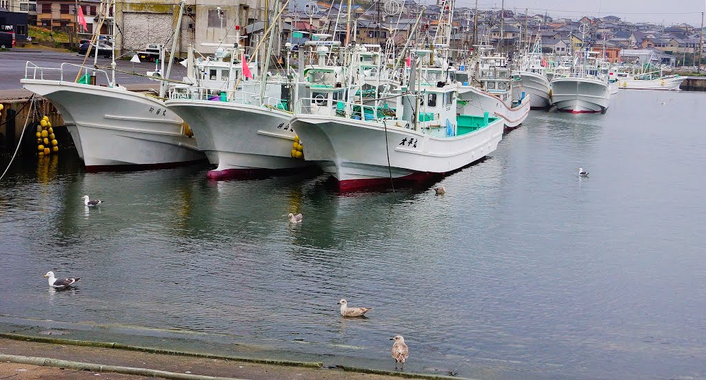 Togawa fishing port　外川漁港 by Ken Matsu