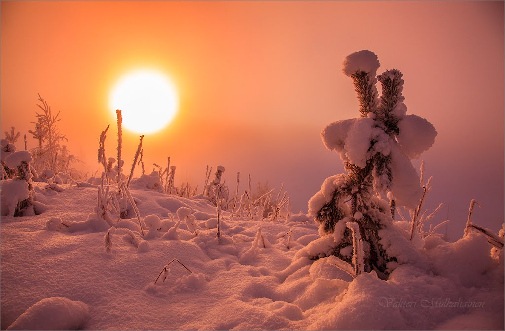 Sotkamo, Finland by Valtteri Mulkahainen