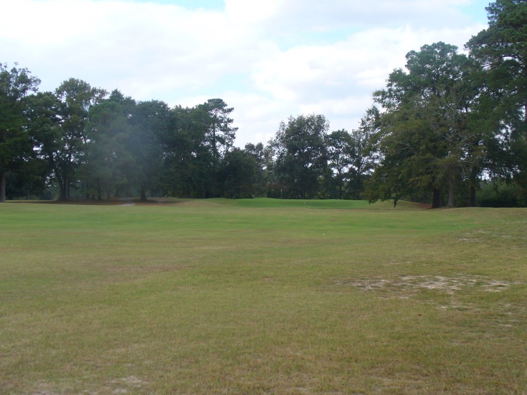 Flag Tree Golf Course by WaffcoJoe