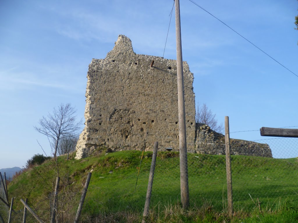 Ruderi del Castello di Castel Castagnaio by alessandro.a.