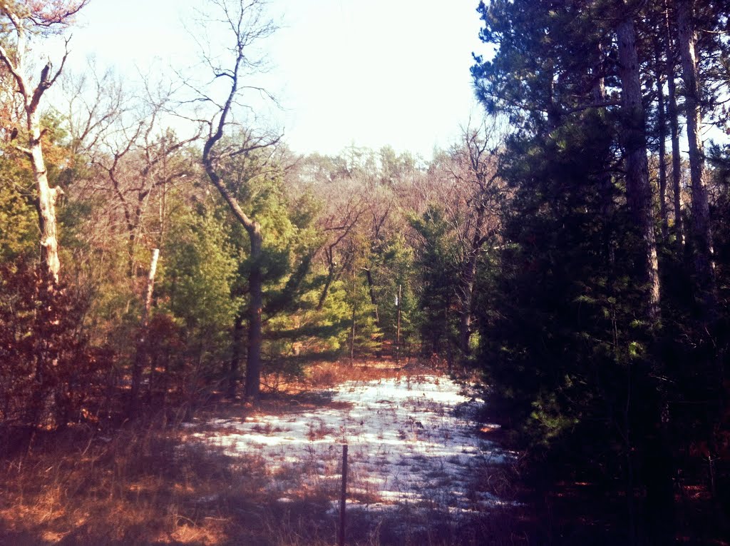 Mill Bluff State Park by Aaron Carlson