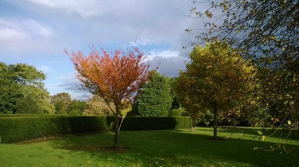 Reynolds Park, Liverpool by Nick Gent