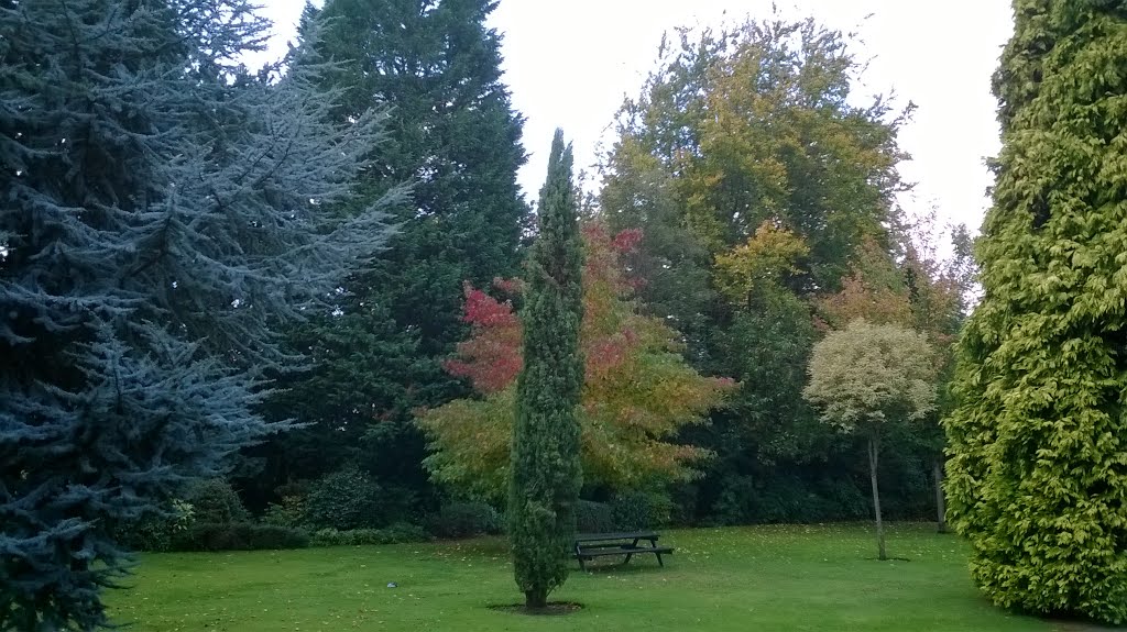 Reynolds Park, Liverpool by Nick Gent