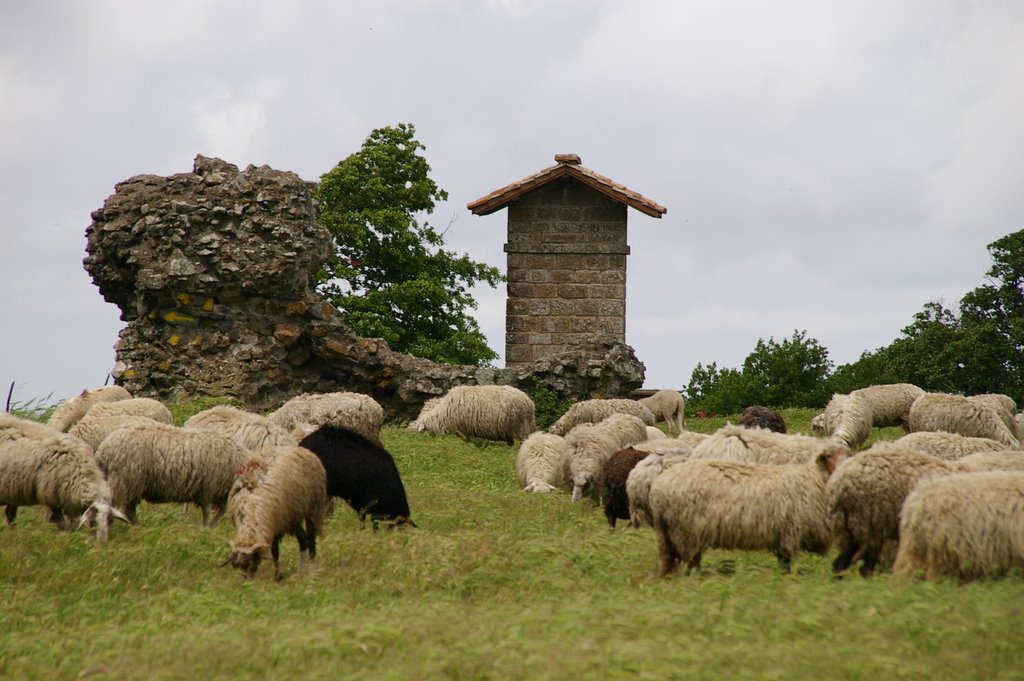 Rovine by Mauro Francesconi