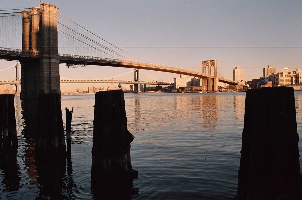 Brooklyn bridge by Eduardo Manchón