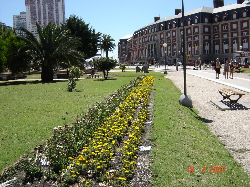 PLAZA COLON by marlon671