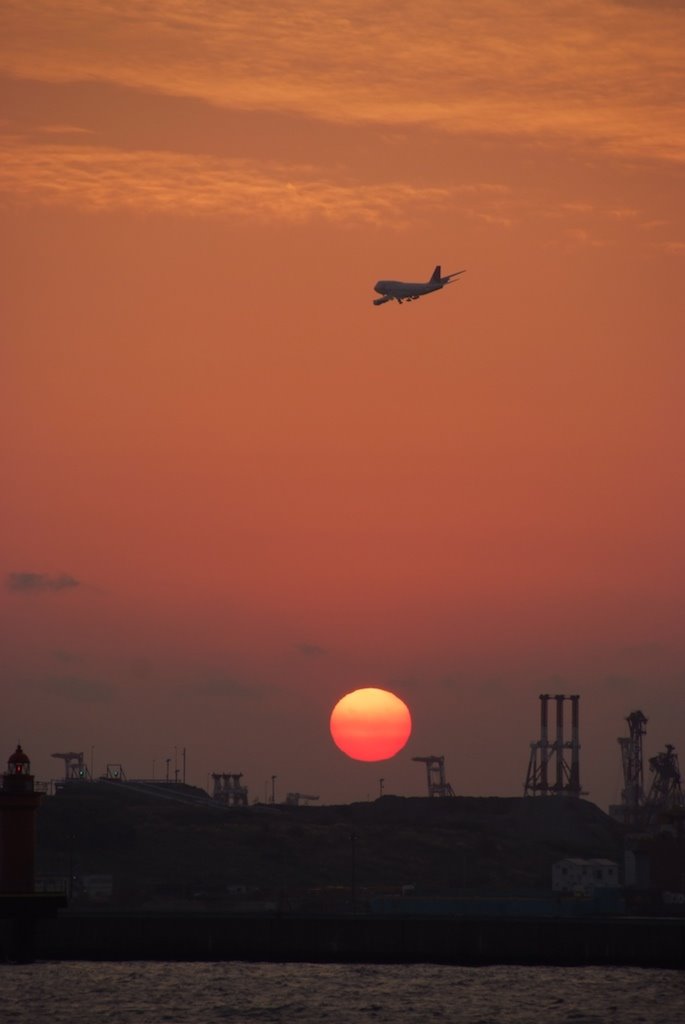 The plane flying over the setting sun by saitomo