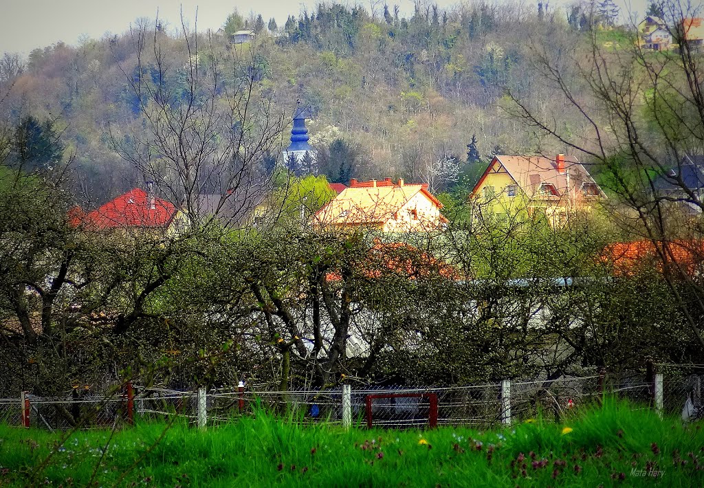 Spring - Tavasz by Mata Hary