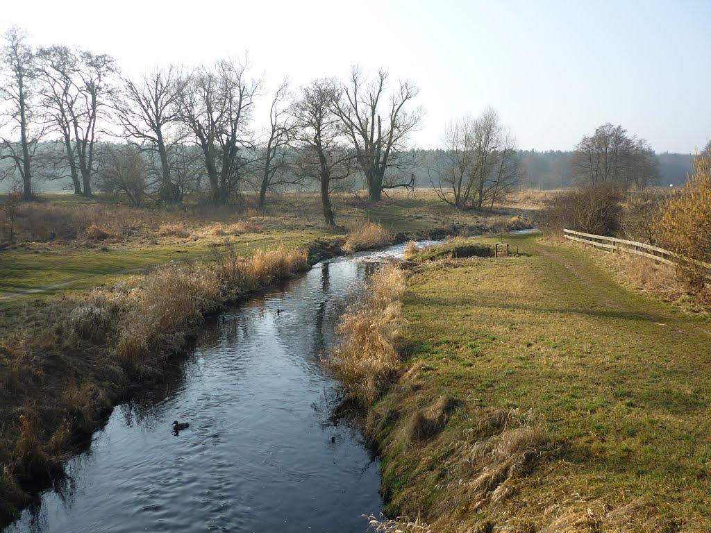 Heidemühle by eisenfred