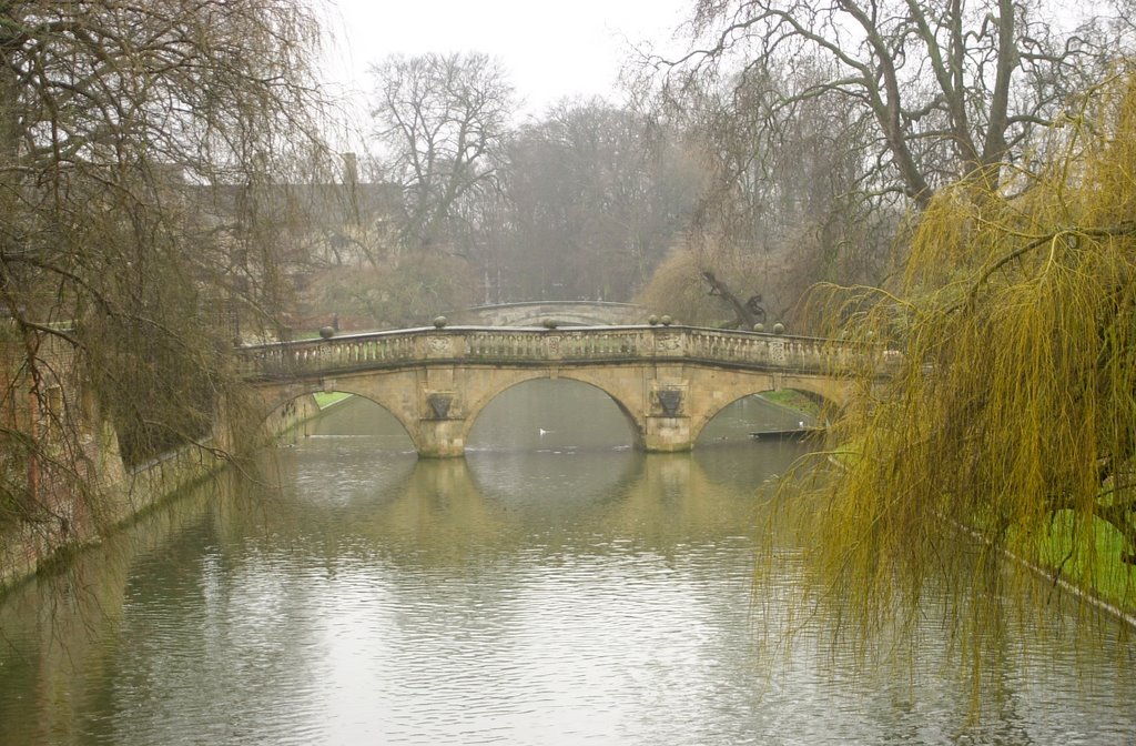 View along River Cam, Backs of the Colleges, Cambridge, Cambridgeshire by Derek Haden