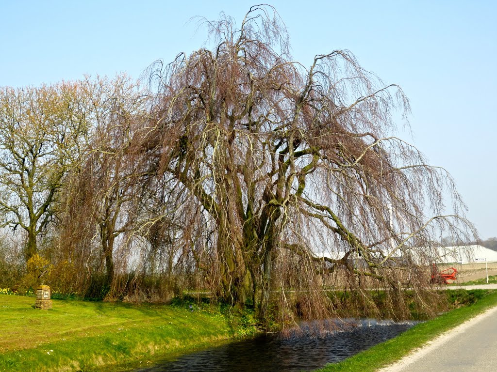 Hefswal, Lente by Jan Lalkens