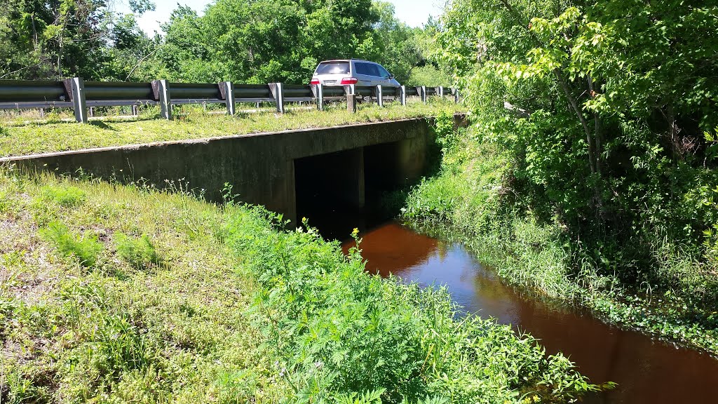 Canal - Bear Gully Creek and Slavia Road by Dudus Maximus