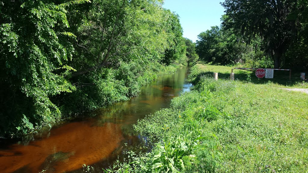 Canal - Bear Gully Creek by Dudus Maximus