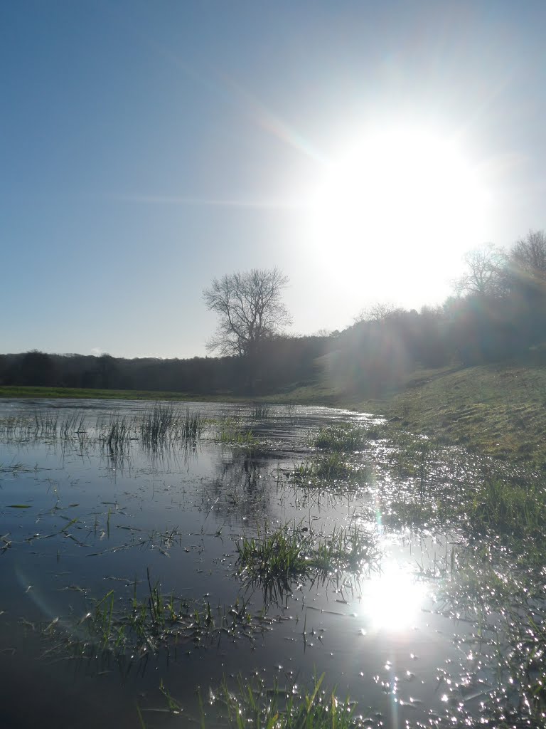 Sun - footpath - water - cheddleton by Gemma Hassall