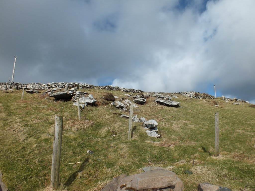 Beehive huts are old buildings made by stones without any mortar, circulars, which were commonly used to many aims, but during the 19th century they served as a dwelling also. by Ana F. S. Galvão