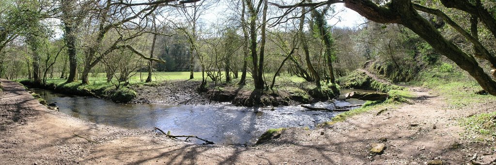 Clearing in Bishopston Valley by Jan Haas