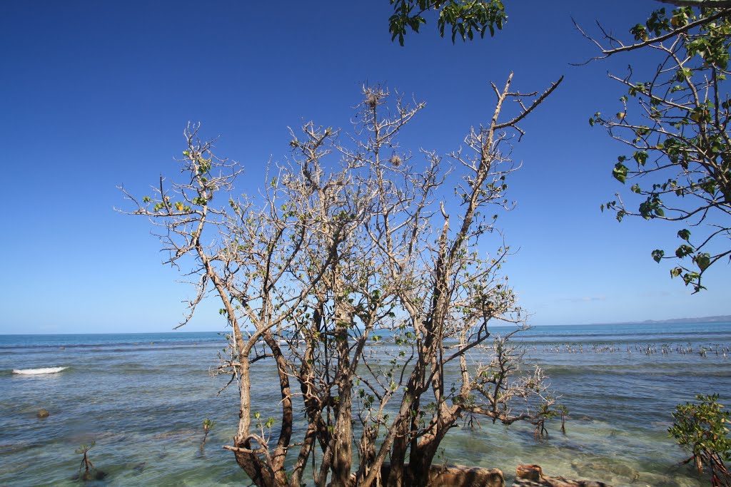 Isla Piñero-Cabo Rojo by Ricardo David Jusino