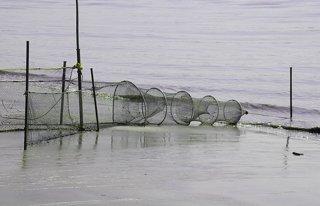 Fischreusen am Strand by PaulCarl