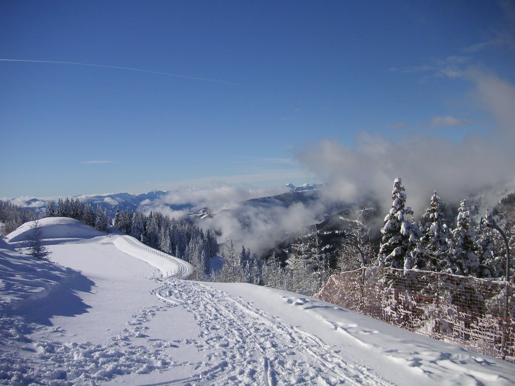 National Park Nockberge by ©Erica Scamperle