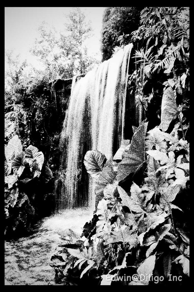 Water Fall at Botanic Gardens by Edwin Poh