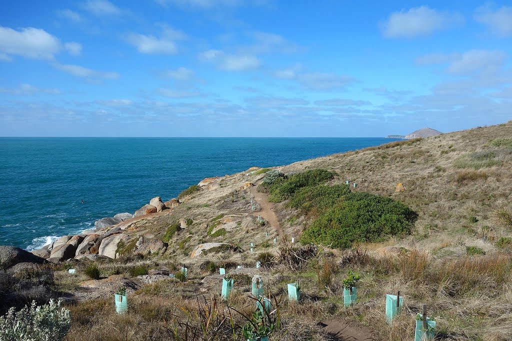 Walking tracks on Granite Island by TheDoc-AUS