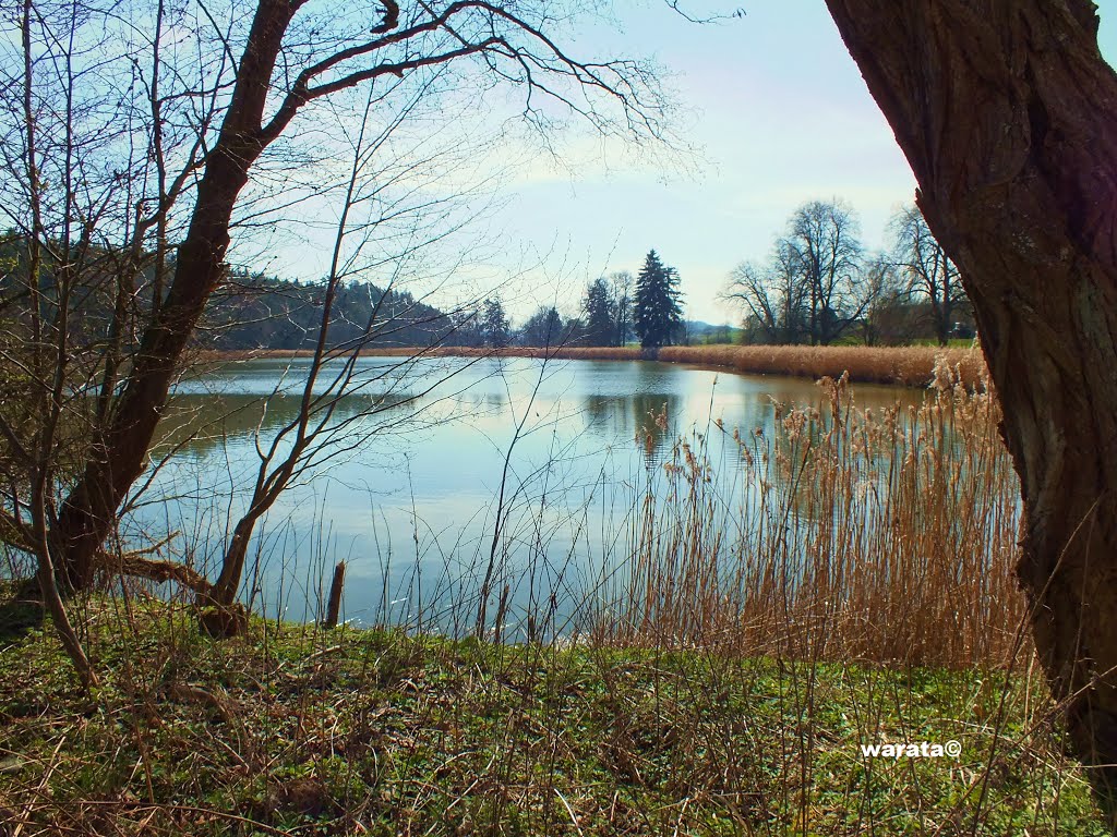 Babenhausen (i) in Oberschwaben > Fugger Weiher by warata