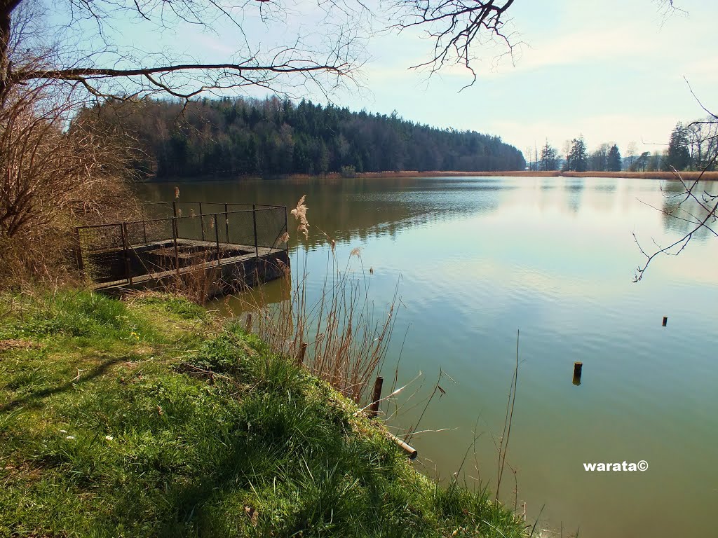 Babenhausen (i) in Oberschwaben > Fugger Weiher by warata