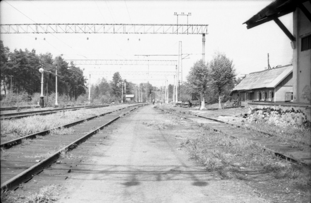 1983 г, Токсово by Андрей Мсхалая