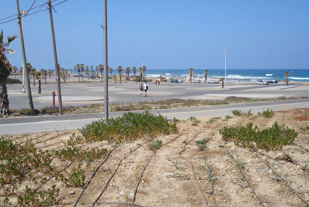 Tel Aviv - Tel Baruch Beach by Michal L - 2