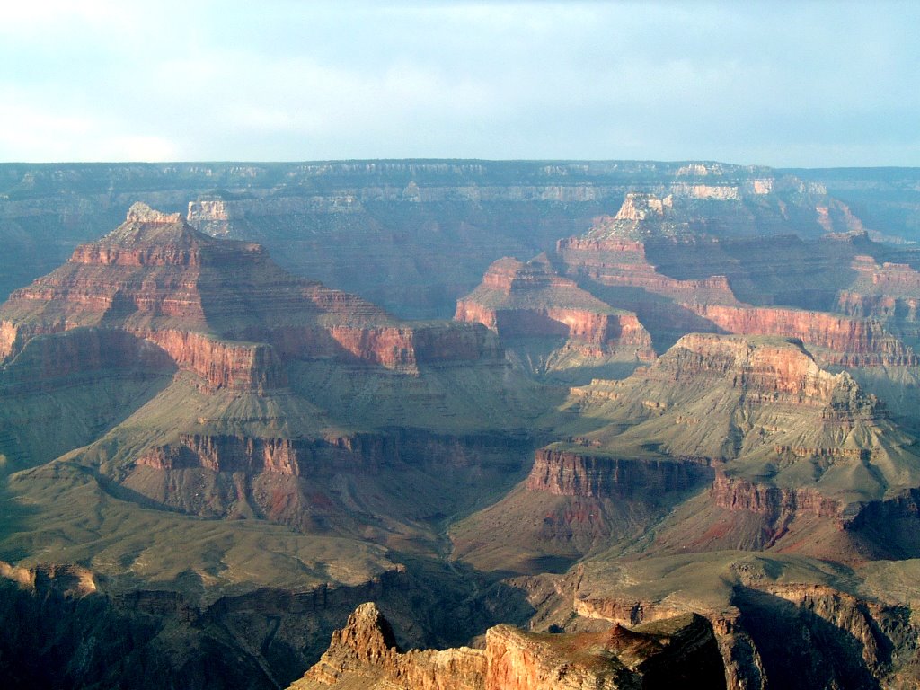 GRAND CANYON by DAVID HADAR