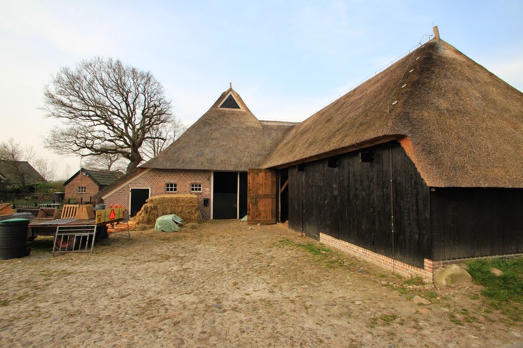 Boerderij in Anderen by Catrinus van der Leest