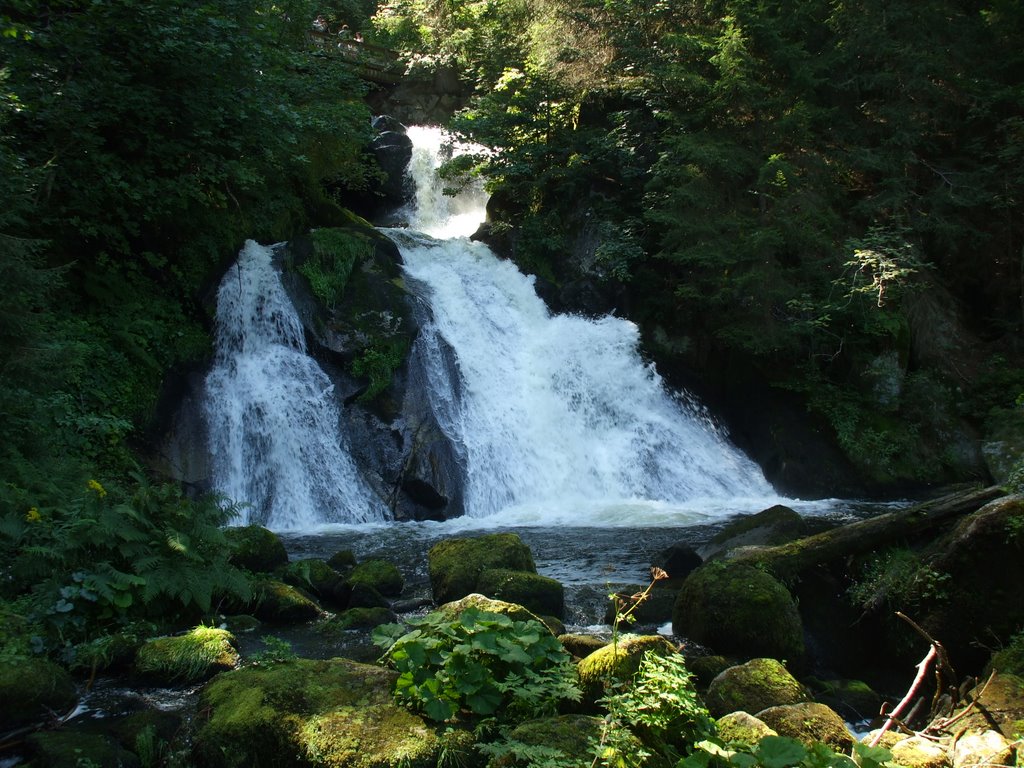 Triberg Wasserfall (summer 2007) by Abu Kald