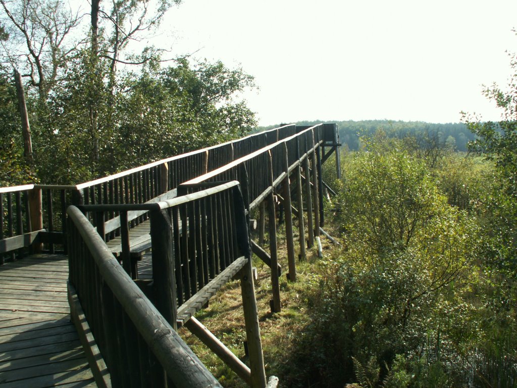 Kładka obserwacyjna nad zarastającym jeziorem Bastemose by 7alaskan