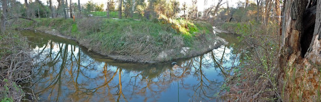 Panorama of a Bend in Linda Creek by Steve Schmorleitz, NationalParkLover.com