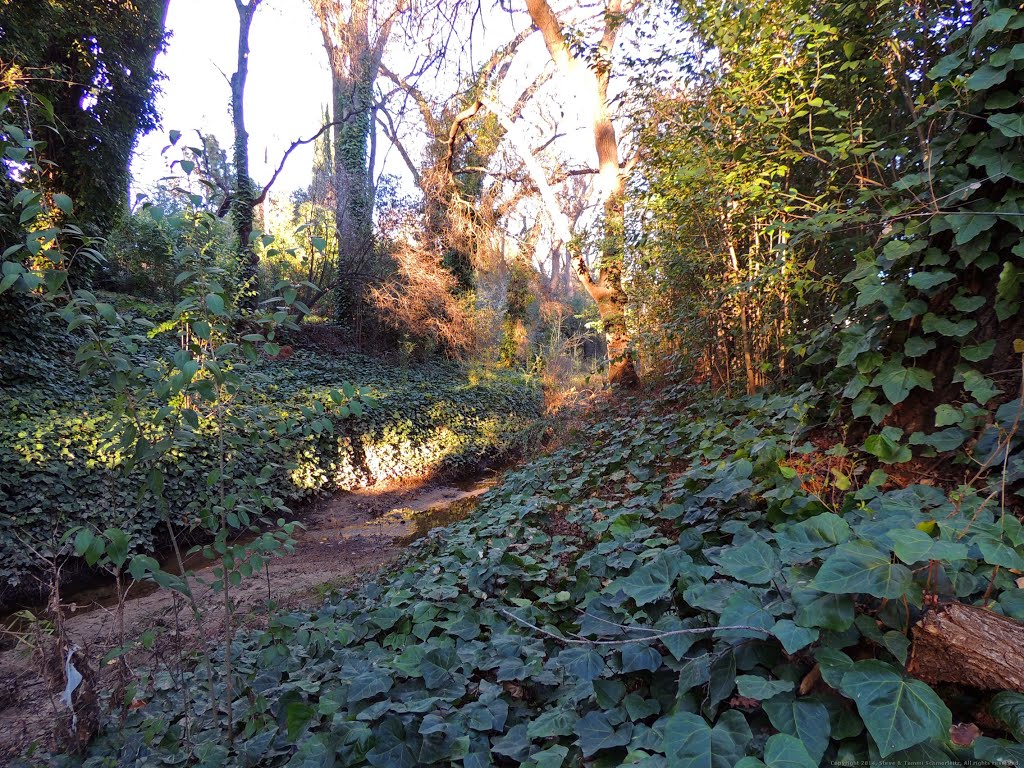 Cirby Creek by Steve Schmorleitz, NationalParkLover.com