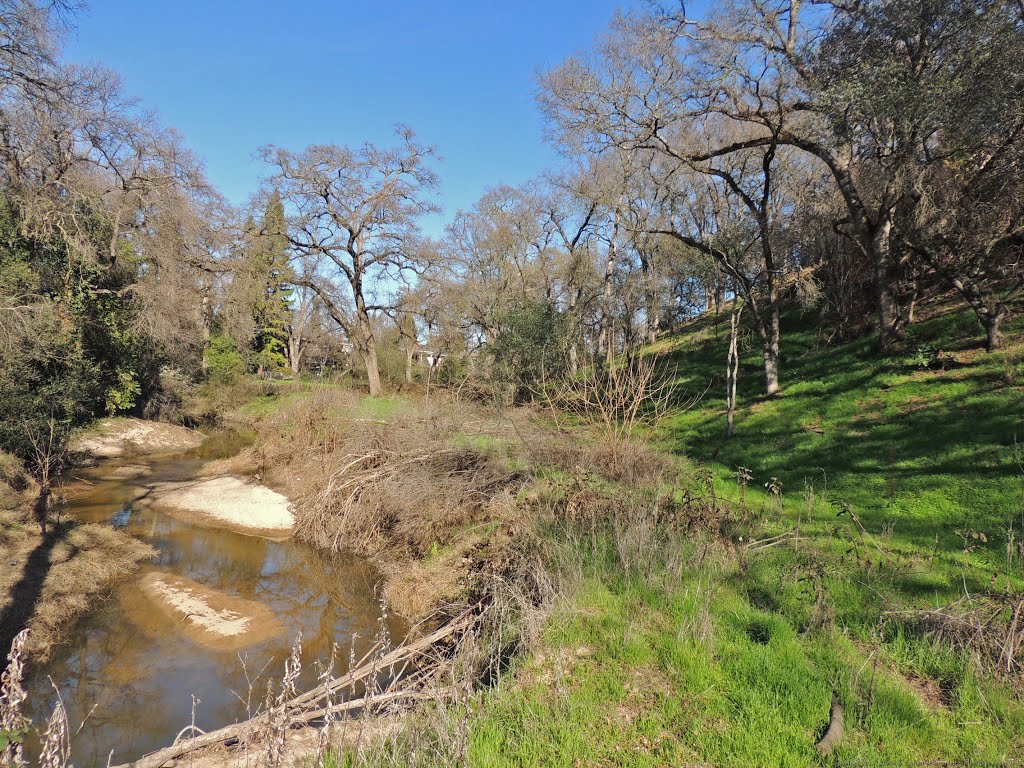 Cirby Creek and a Green Hill by Steve Schmorleitz, NationalParkLover.com