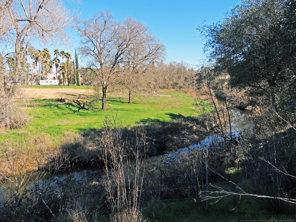 Cirby Creek near "The Castle" by Steve Schmorleitz, NationalParkLover.com