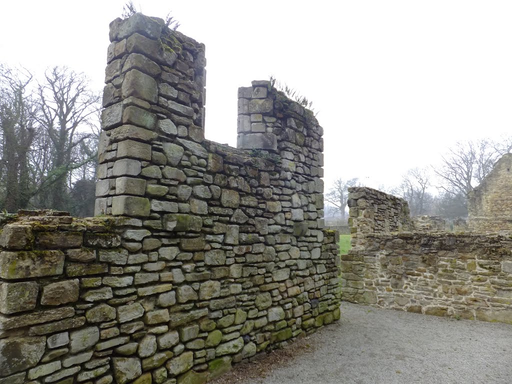 Basingwerk Abbey by muba